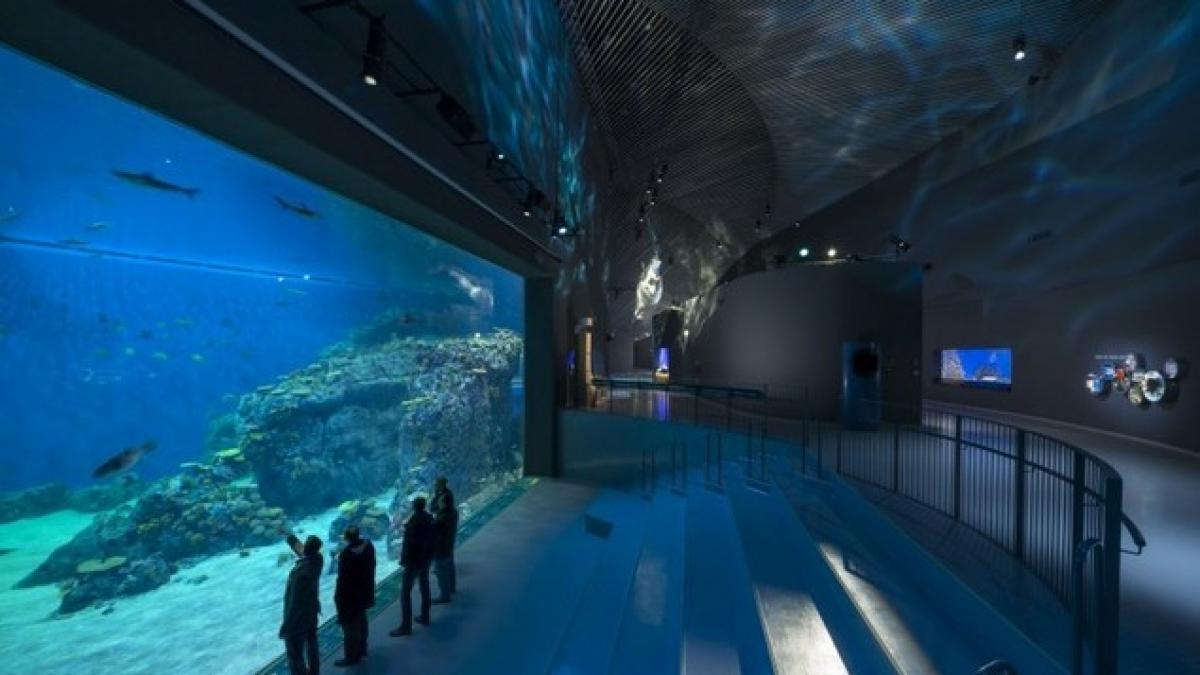 merita vazut cel mai mare acvariu din europa de nord o splendoare