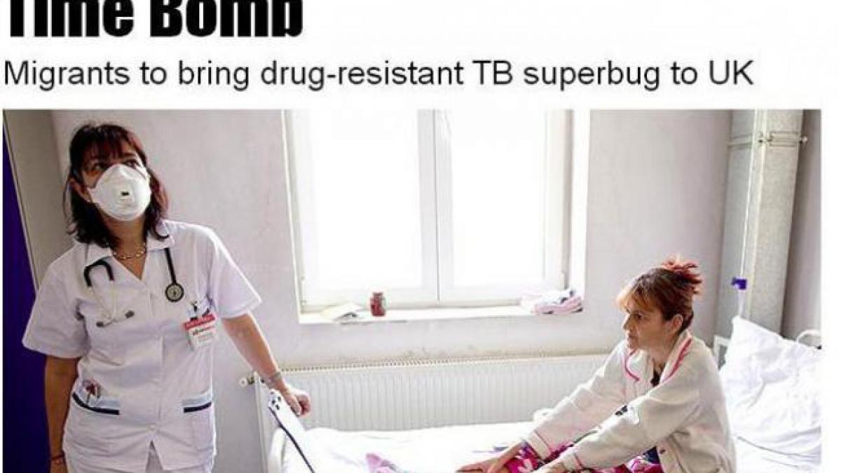 superbacilul ucigas pe care il aduc romanii in europa un reportaj cutremurator realizat de