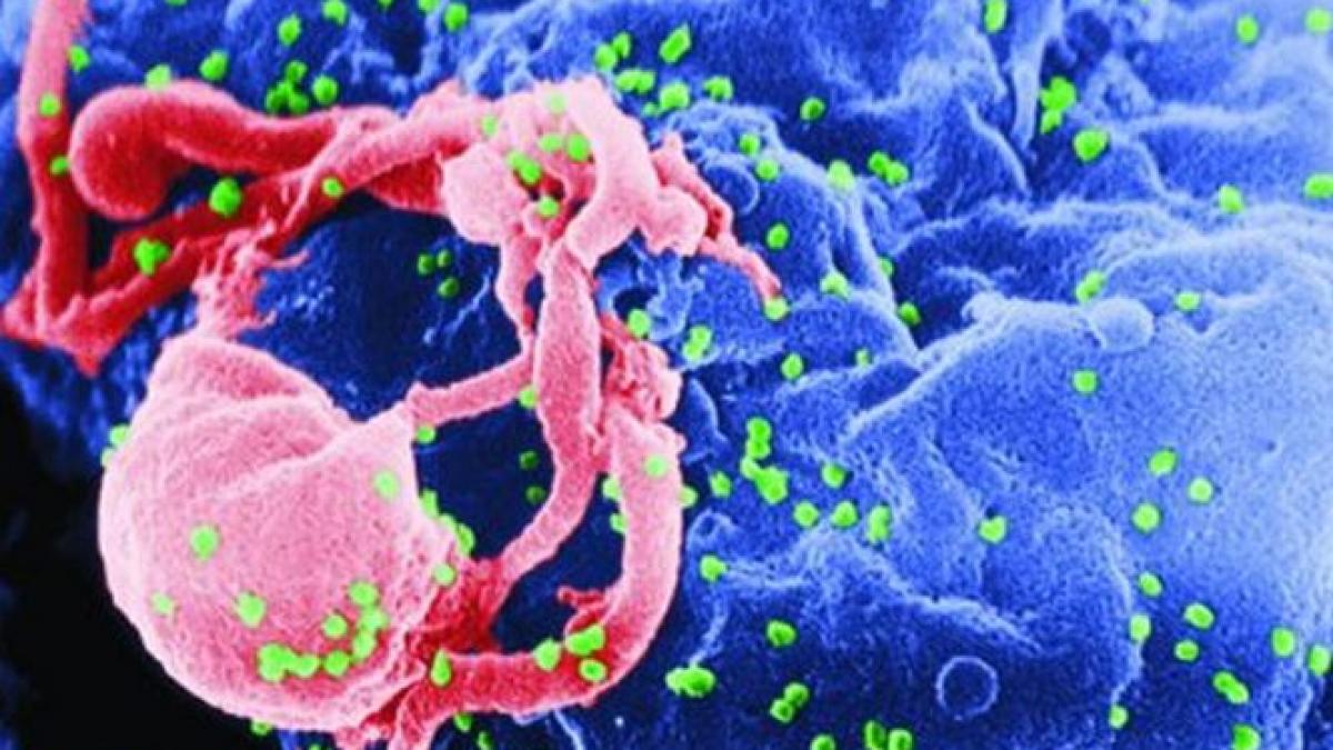 mobilizare impotriva hepatitei c 650 000 de romani sufera de aceasta maladie