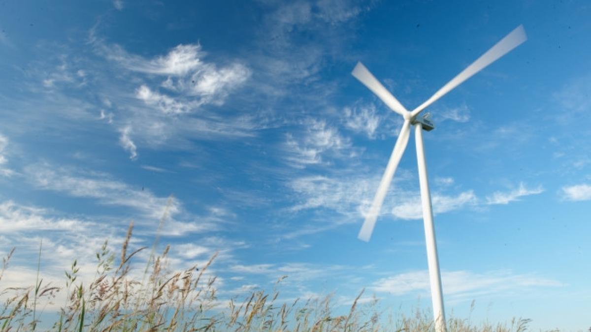 crearea unui viitor verde pentru romania vestas in prima linie a energiei eoliene