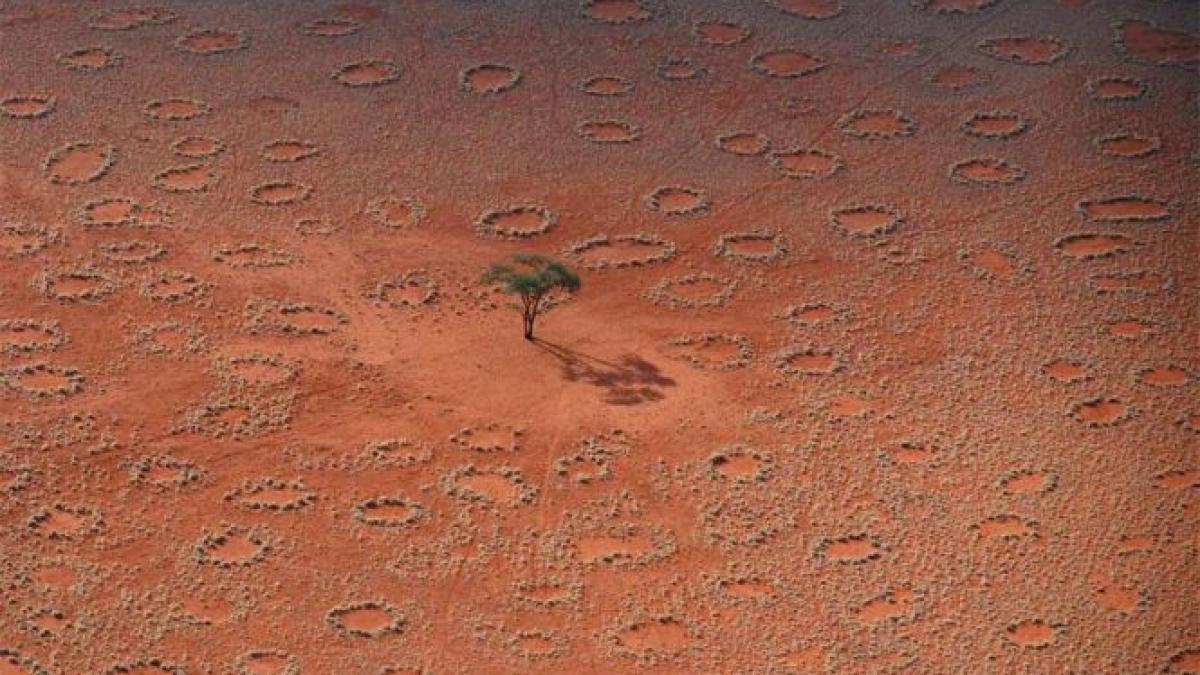 misterul care i a macinat pe oamenii de stiinta timp de mai multe decenii a fost rezolvat cine a