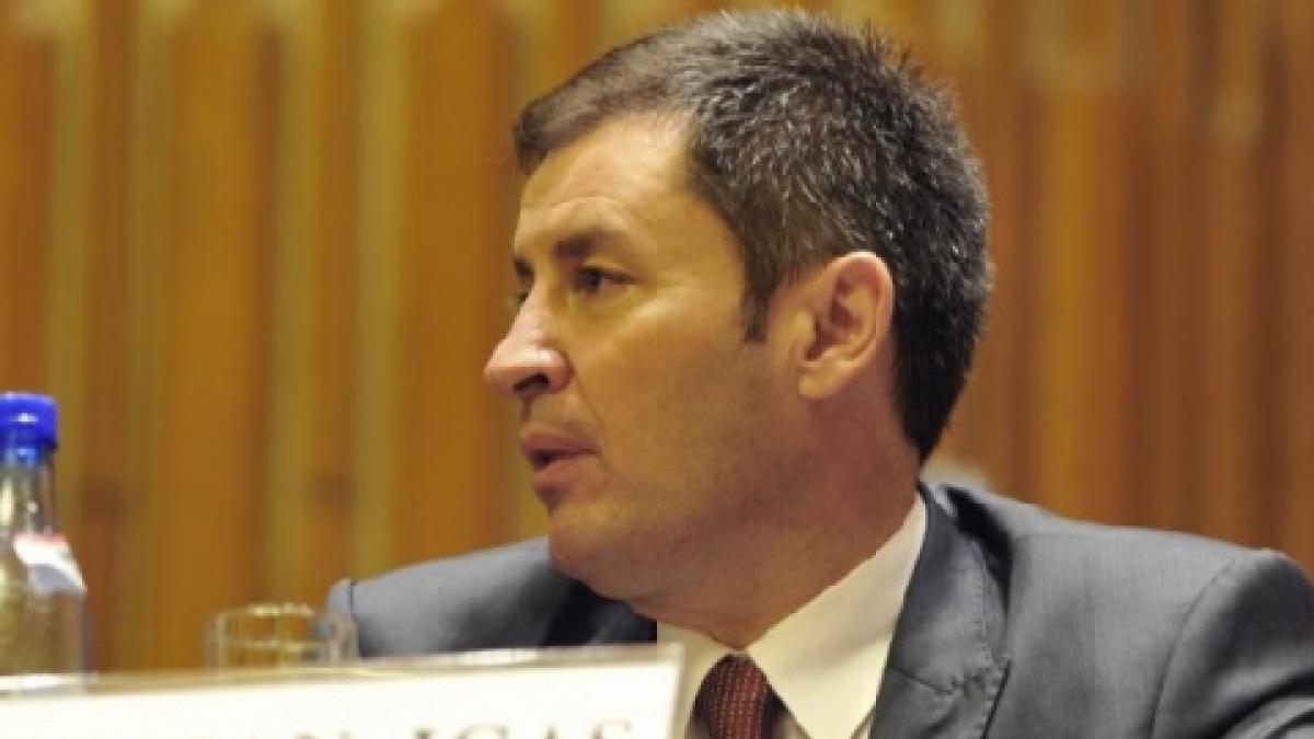 traian igas ar putea candida pentru o functie de vicepresedinte regional al pdl