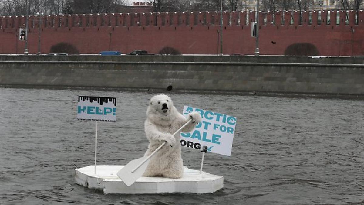 un activist greenpeace deghizat in urs polar a protestat la kremlin in apararea arcticii