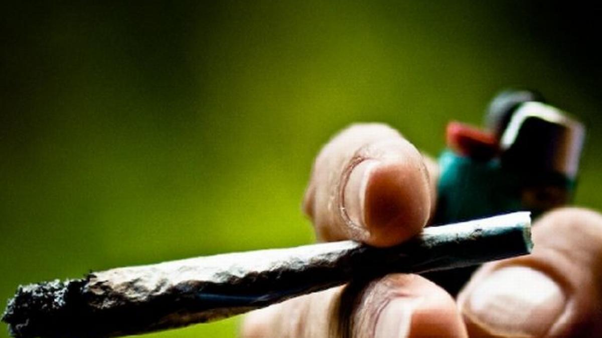 autoritatile din cehia au legalizat consumul de canabis in scopuri terapeutice