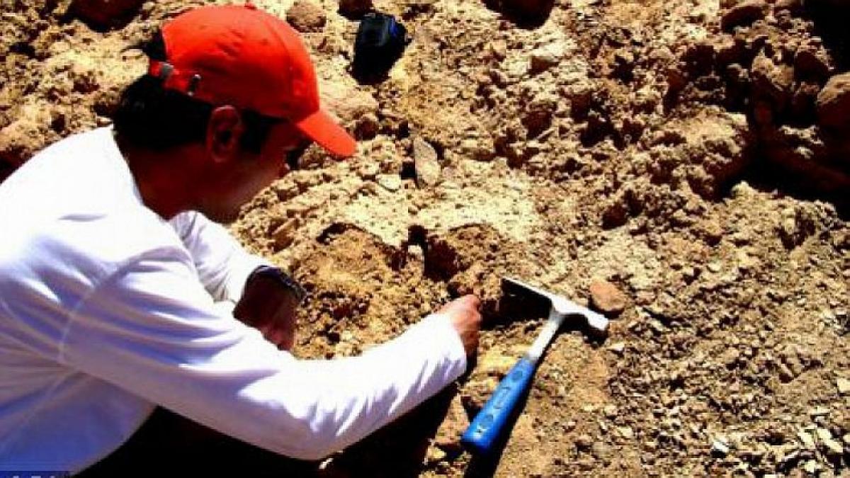 descoperire istorica intr un oras din romania este vechi de cateva milioane de ani