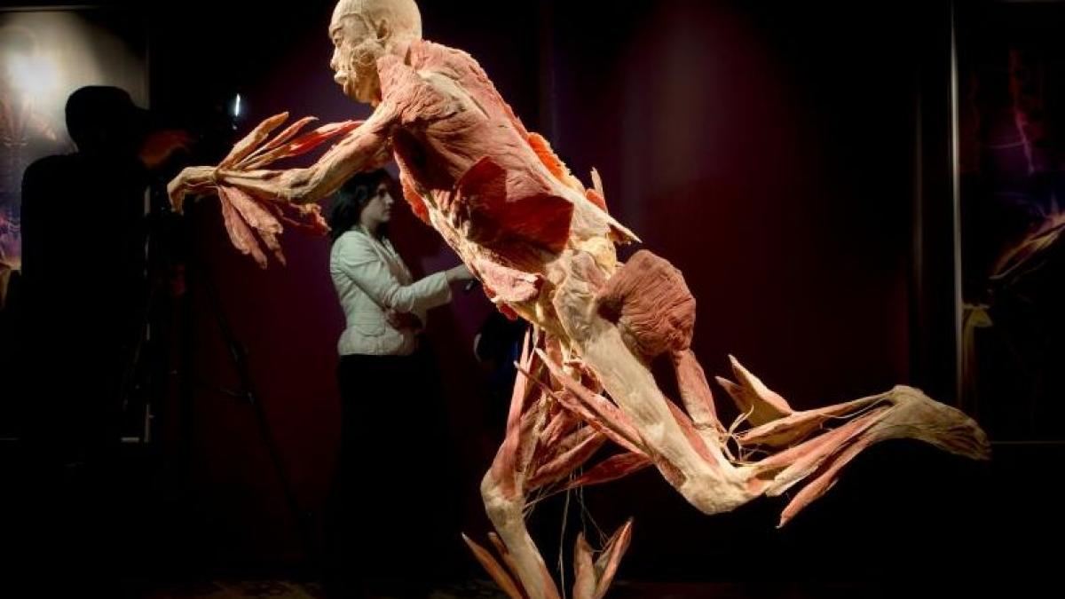 scolarii din calarasi au primit interzis la chinezii de la antipa inspectoarea invoca recomandarea