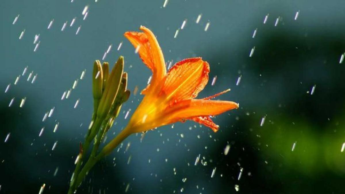 una calda una rece cum va fi vremea in urmatoarele doua saptamani in fiecare regiuni a tarii