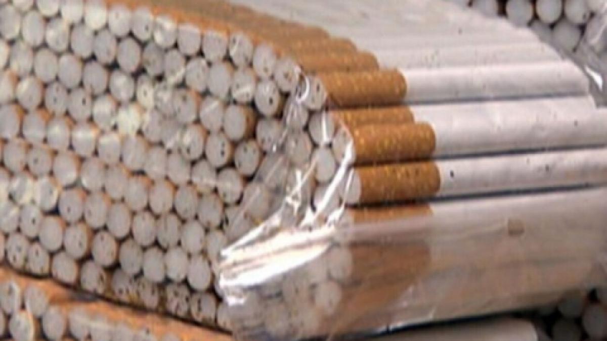 mii de tigari de contrabanda au fost gasite in curtea unui iesean la groapa de gunoi