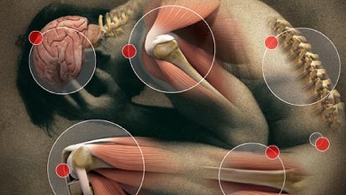 premiera in lumea stiintifica intensitatea durerii a fost masurata pentru prima oara de cercetatori