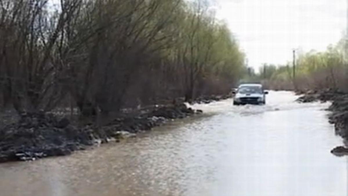 dunarea la cota de inundatii apele au facut ravagii la braila si galati