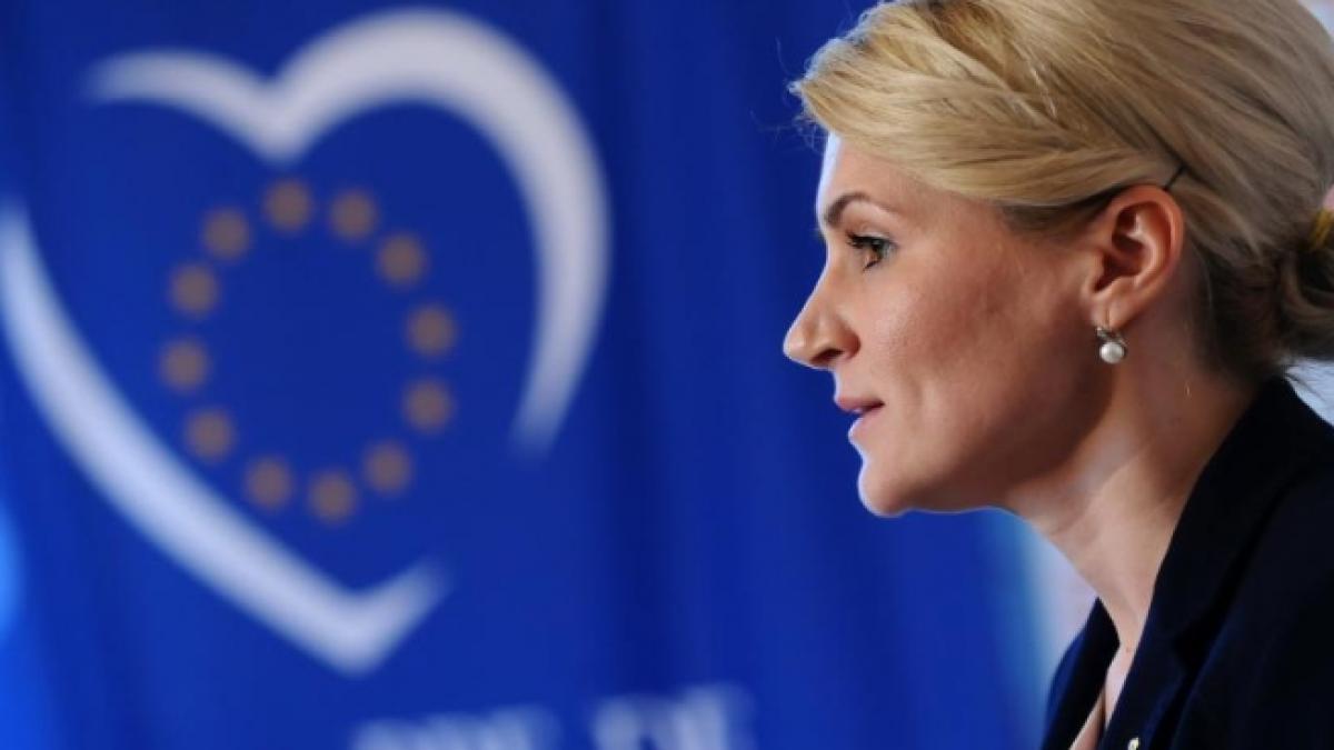 pdl cere premierului demiterea ministrilor nita vosganian chitioiu si voinea