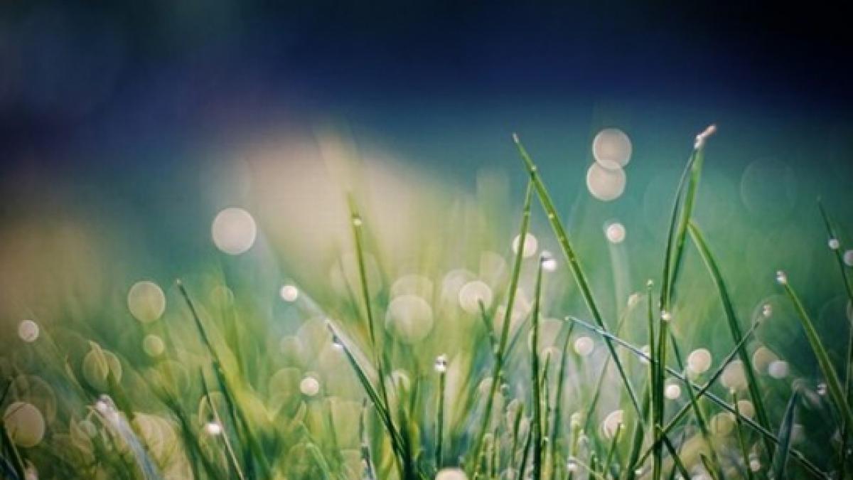 vremea se raceste usor vezi prognoza meteo pentru urmatoarele zile