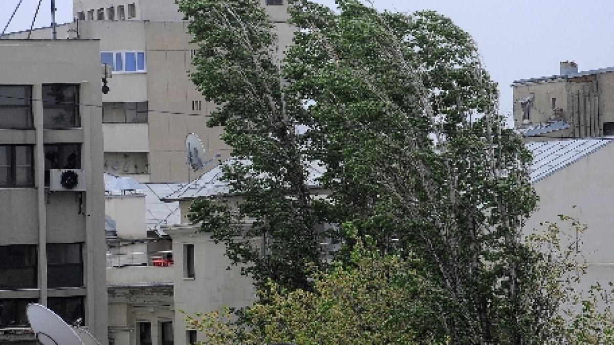 avertizare de vant puternic pentru buzau ialomita si calarasi pana la ora 18 00