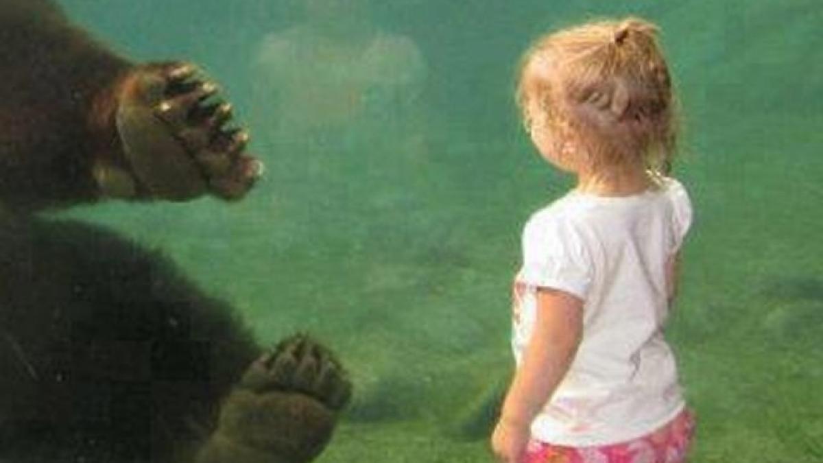 o imagine care iti va da fiori intalnirea impresionata dintre un copil si un urs urias