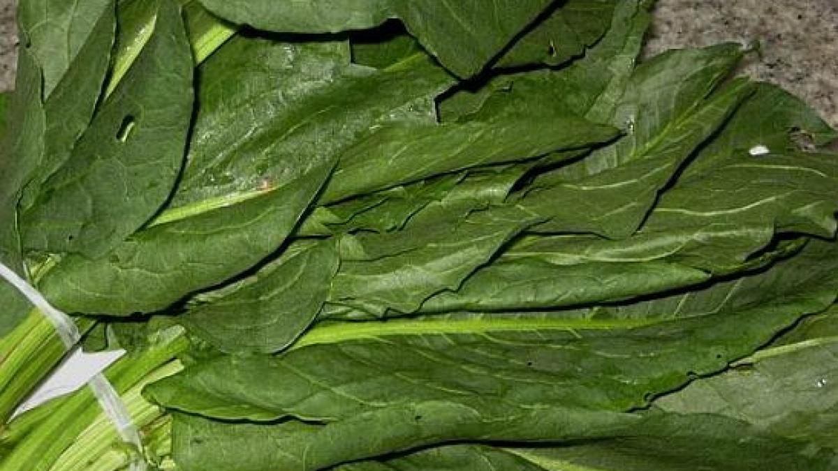 spionii romani isi mentin sanatatea cu stevie sie vrea sa cumpere produse farmaceutice din stevie