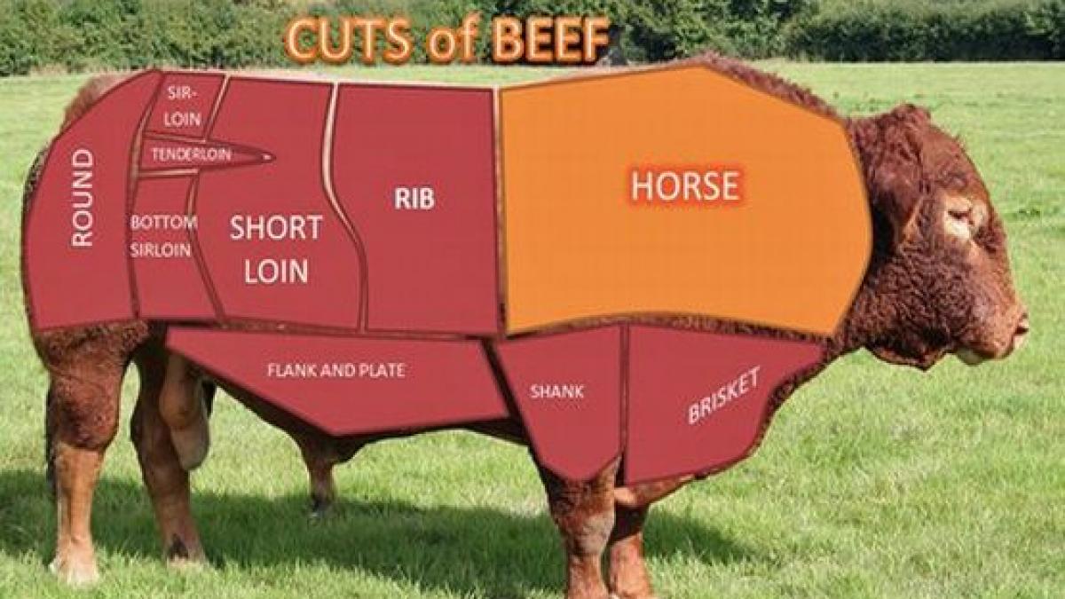 ue carnea de cal depistata in proportie de 5 in produsele etichetate drept vita