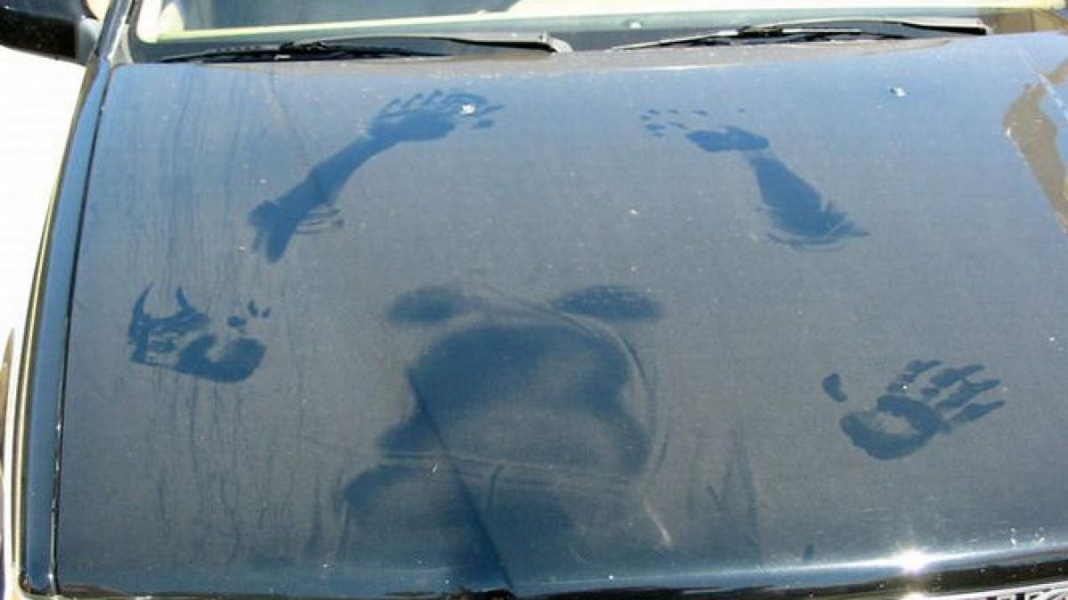 doi moldoveni au fost arestati in italia dupa ce au fost prinsi facand sex in plina strada