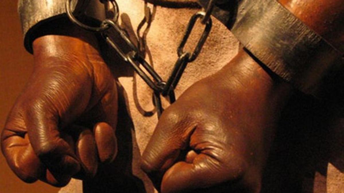 sclavia din zilele noastre imigranti impuscati pe o plantatie de capsuni din grecia