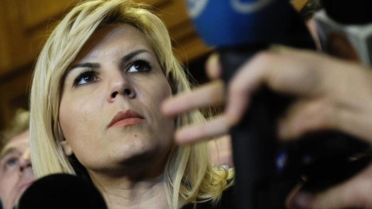 elena udrea remarca respectul solidaritatea si onoarea aratate de psd fata de ion iliescu