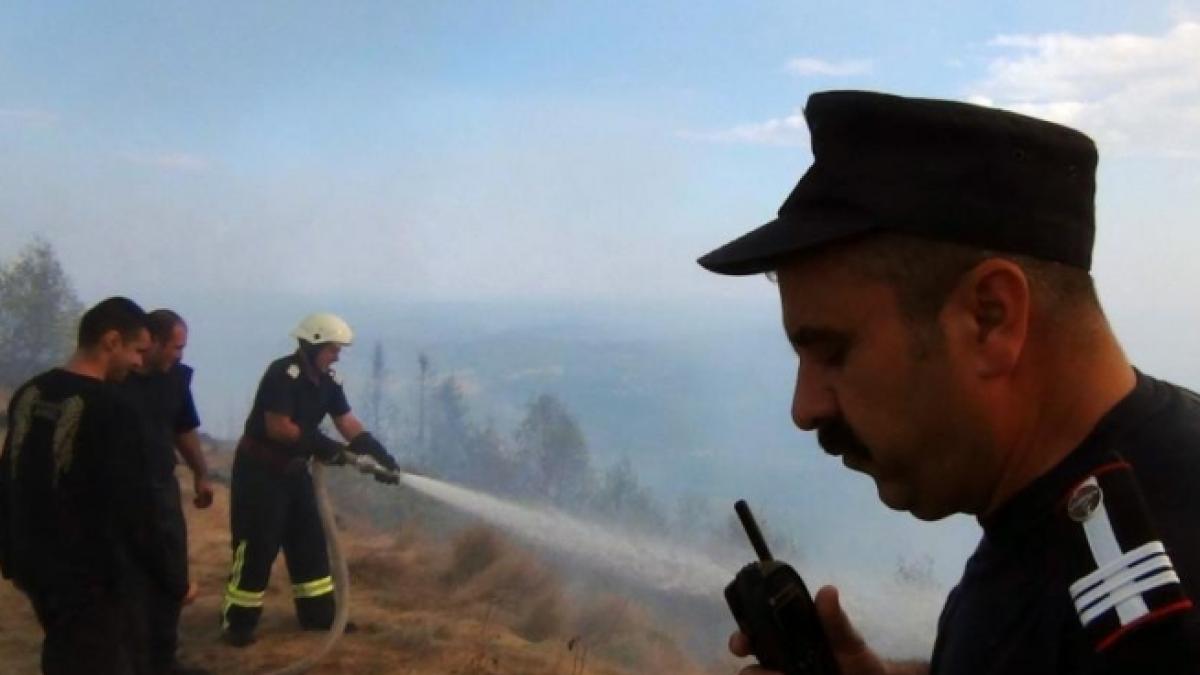 Patru hectare de păşune şi pădure, distruse într-un incendiu declanşat intenţionat