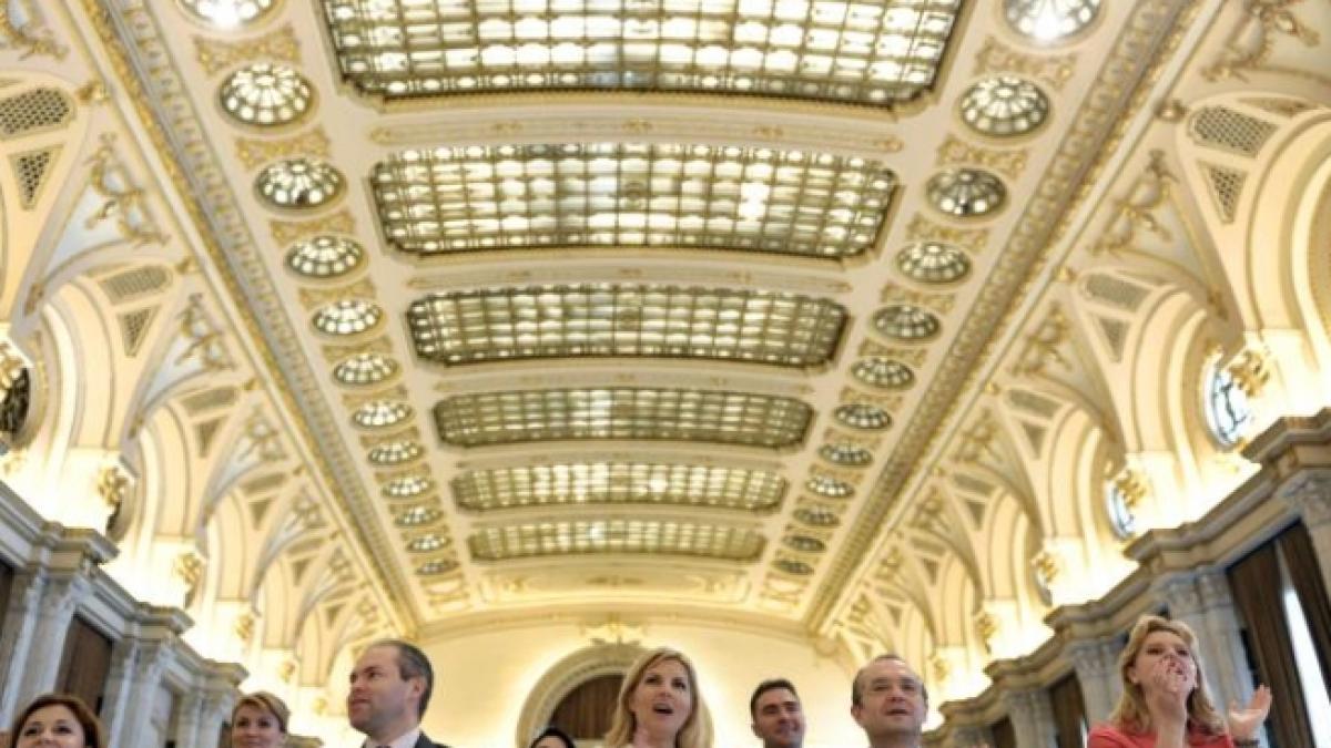 tinerii democrat liberali isi aleg noua conducere sambata