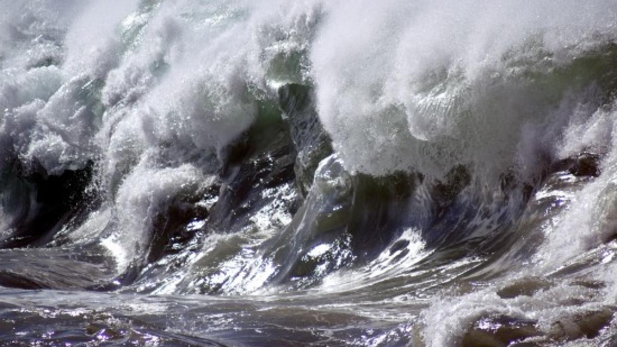 cutremur cu magnitudinea de 6 1 in largul unor insule japoneze din pacific