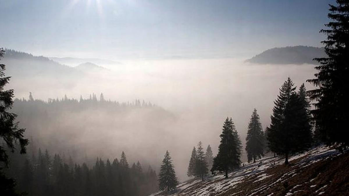 omul care si a construit propriul colt de rai departe de civilizatie traieste fara grija banilor