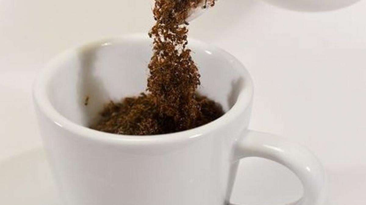 vrea cineva un ceai cu furnici