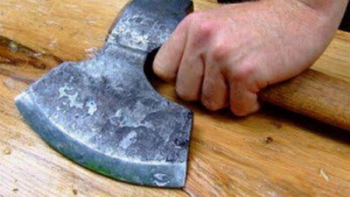 ca intr un film horror si a omorat cumnatul cu lovituri de topor a dormit cu el in camera apoi s a