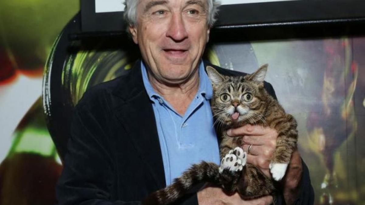 ea este noua senzatie a internetului pana si robert de niro a tinut mortis sa fie fotografiat cu ea