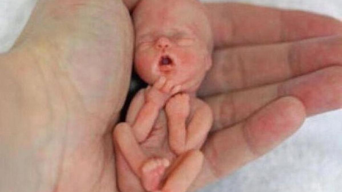 crede cineva ca acesta nu este un om noi le semnam legal moartea