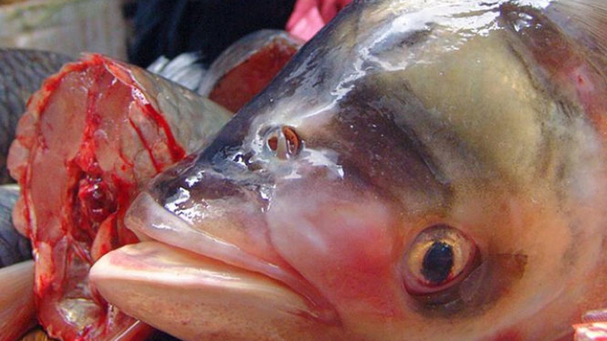 mare atentie la ce mancati inspectorii sanitari au gasit nereguli grave de igiena in piete