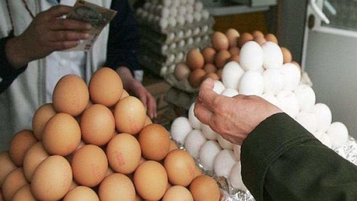 romanii vor cumpara in perioada urmatoare 60 de milioane de oua atentie mare de unde le cumparati