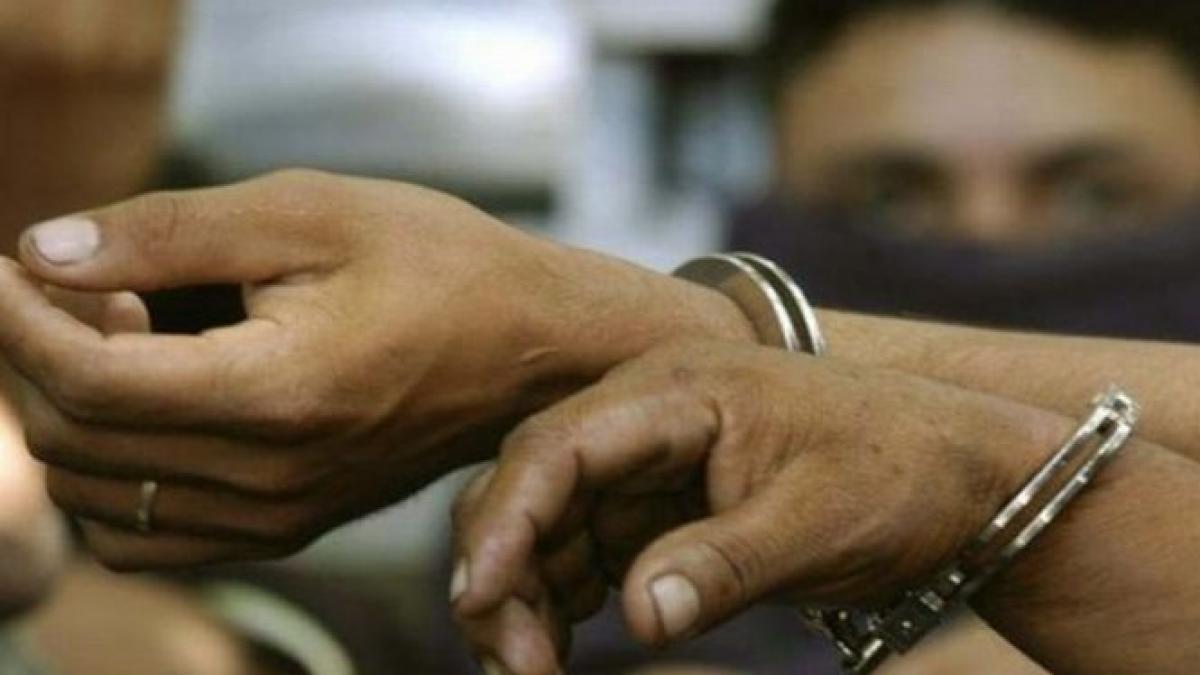 sua au eliberat un om de stiinta iranian