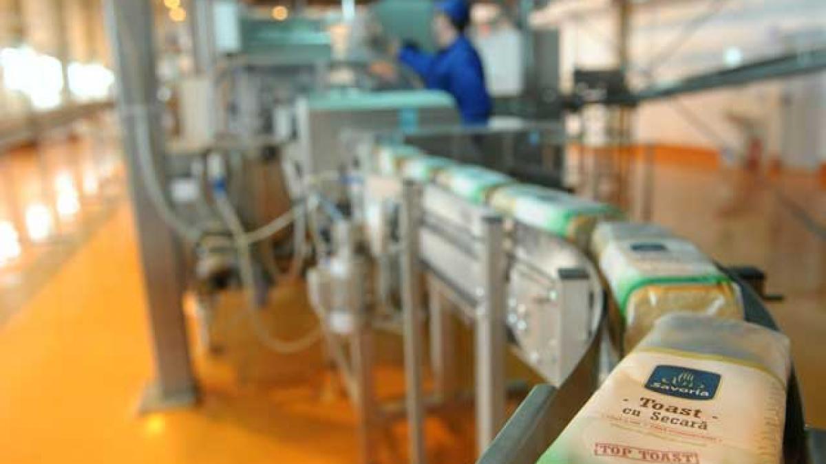 romania in miscare painea savoria o parte importanta a unei diete echilibrate