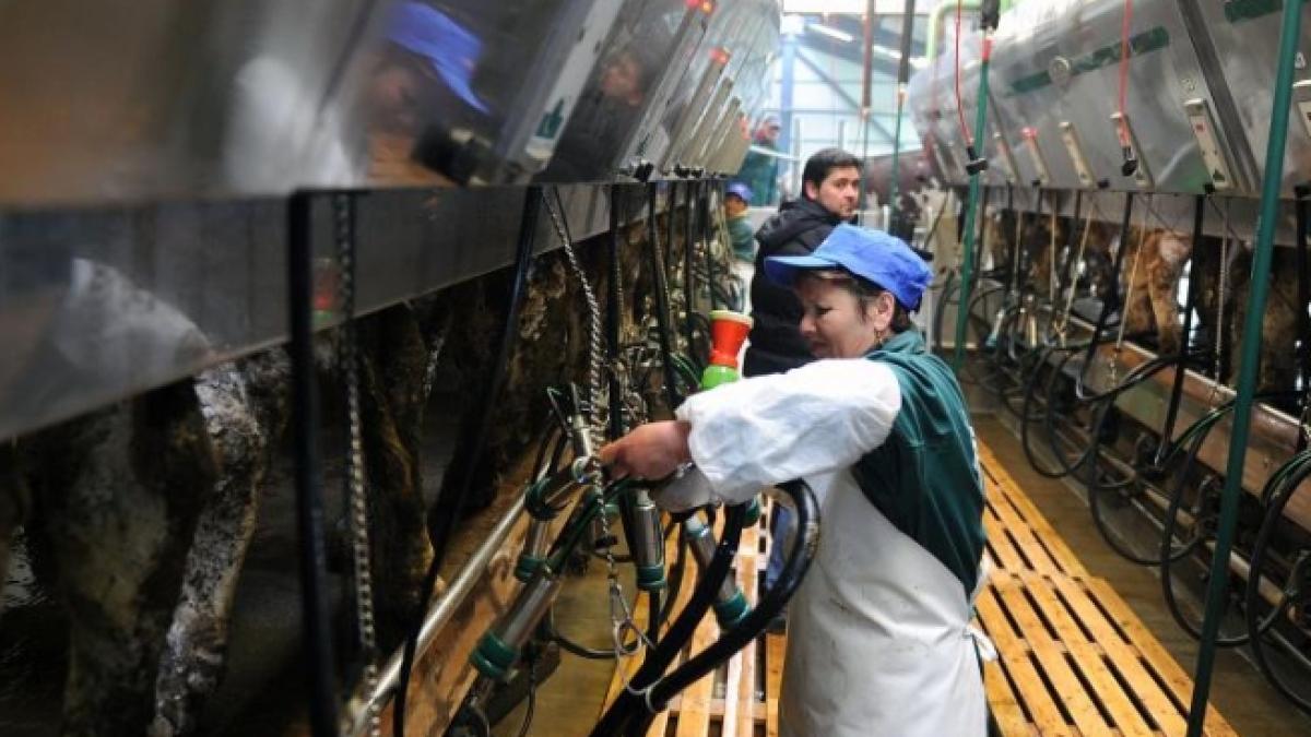 romania in miscare presedintele april despre standardele europene de calitate a laptelui