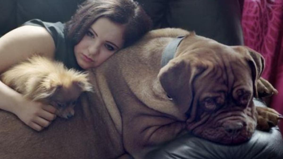 imaginea impresionanta care arata legatura puternica dintre om si animal fotografia a fost premiata