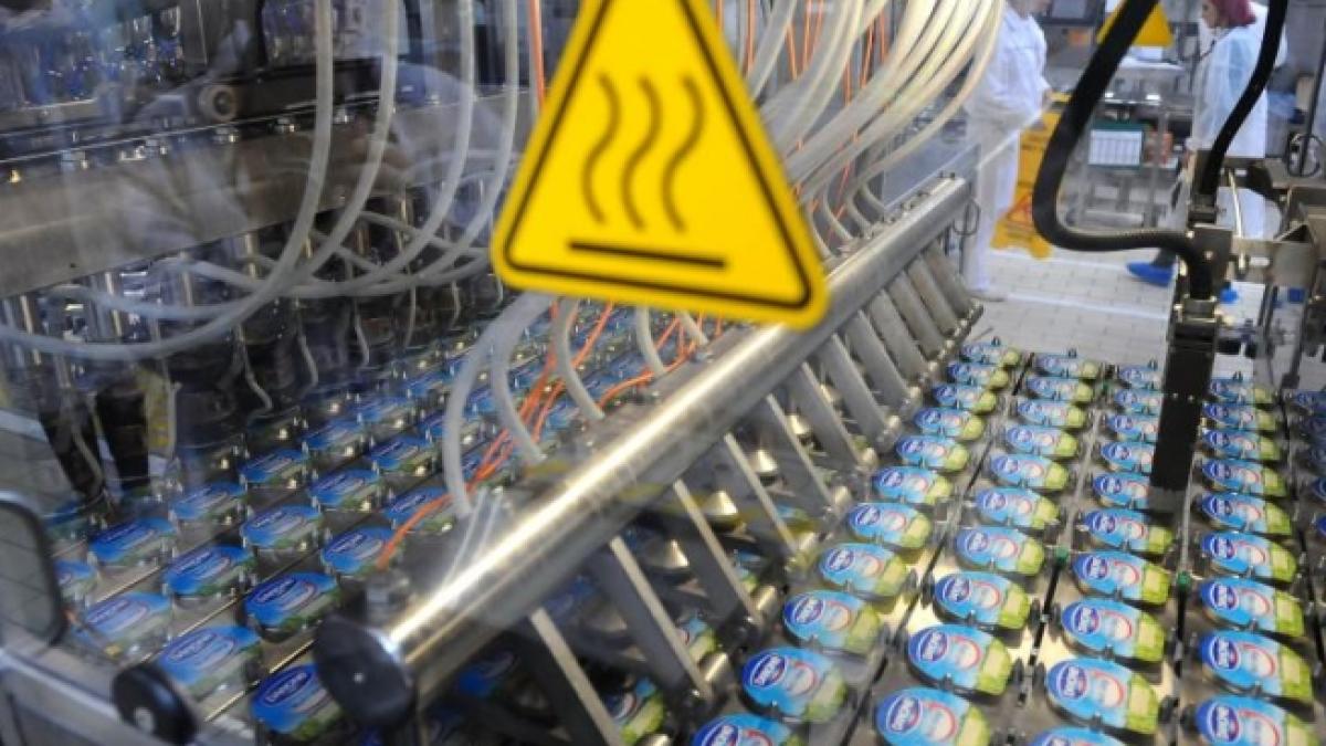 romania in miscare cum se produce un iaurt de calitate in romania