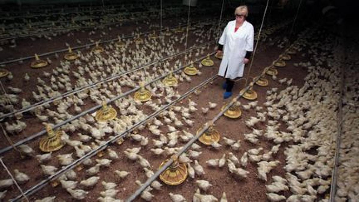 romania in miscare solutiile agricola bacau pentru nevoile unei societati in continua miscare