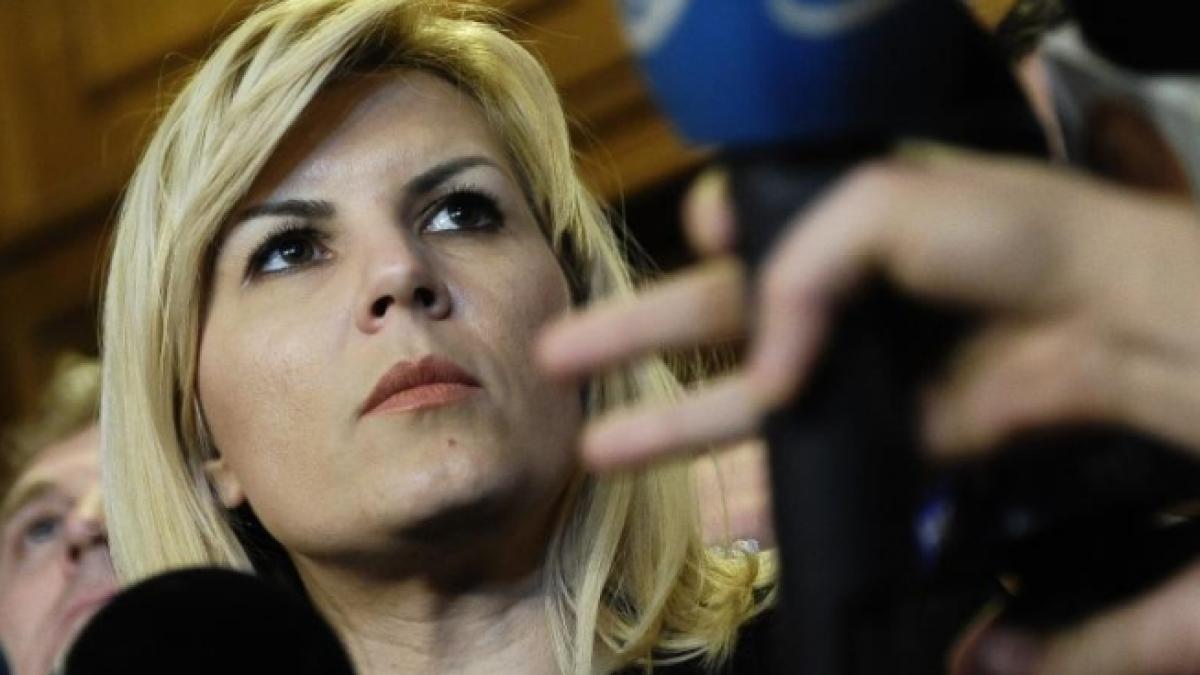 udrea nava romania dusa la cheu guvernul ponta trebuie sa nu cada in capcana lui tariceanu din 2008