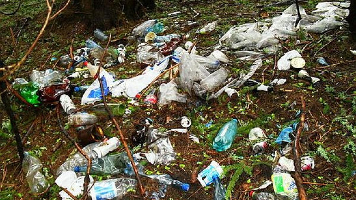 cand au plecat la picnic romanii si au uitat acasa bunul simt trei tone de gunoaie stranse dupa