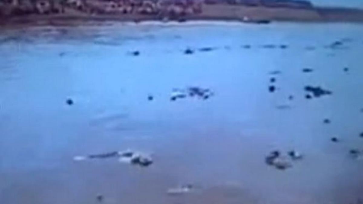 podul de flori simbolul unitatii romanilor 23 de ani de la momentul in care romanii au putut pasi