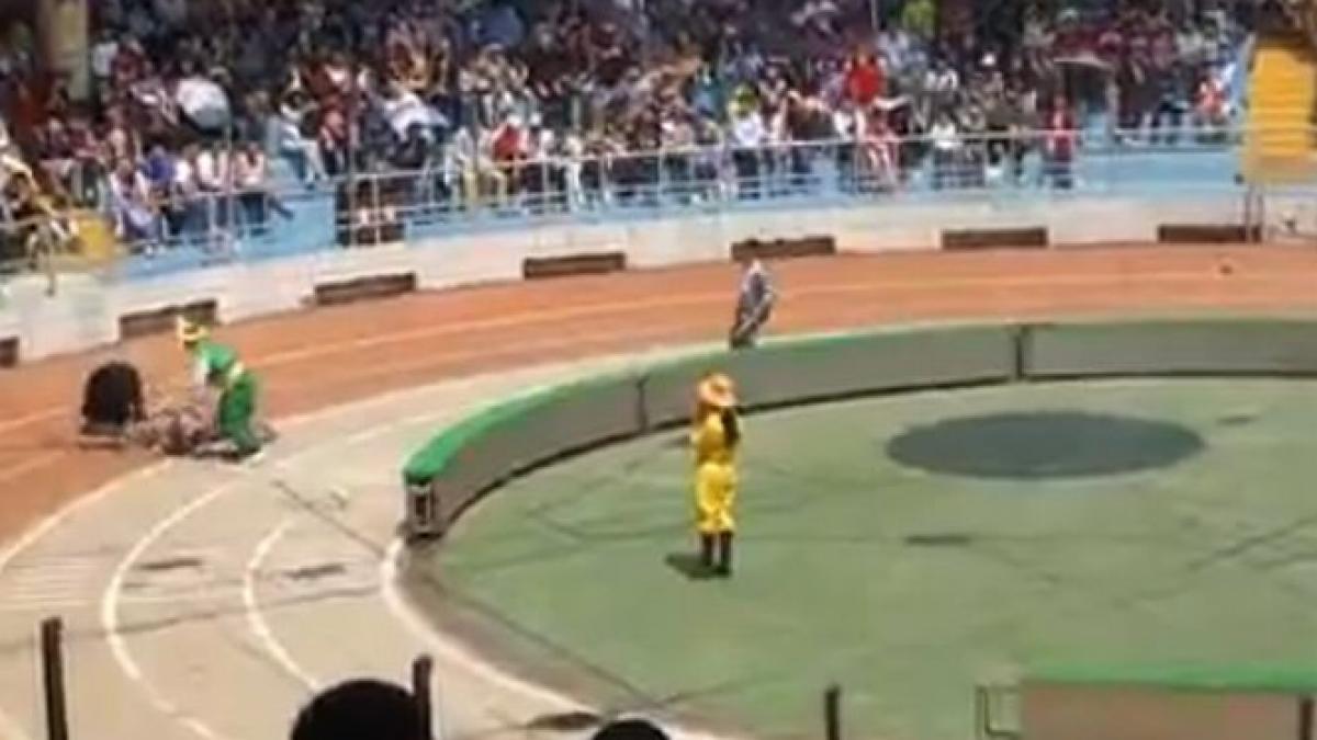 imagini socante la un circ din china un urs a atacat o maimuta