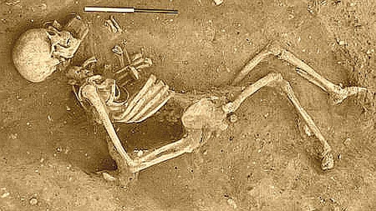 blestemul din casa au descoperit un schelet uman in pod dar l au lasat acolo