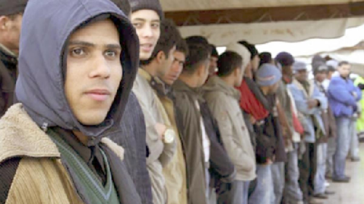 Furia dezlănţuită a romilor. Membrii unei familii din Timişoara, bătuţi crunt de un grup de romi