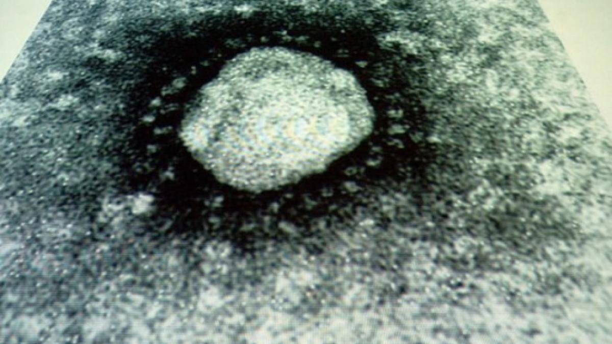 noul coronavirus a fost depistat in europa oms nu sunt motive de panica