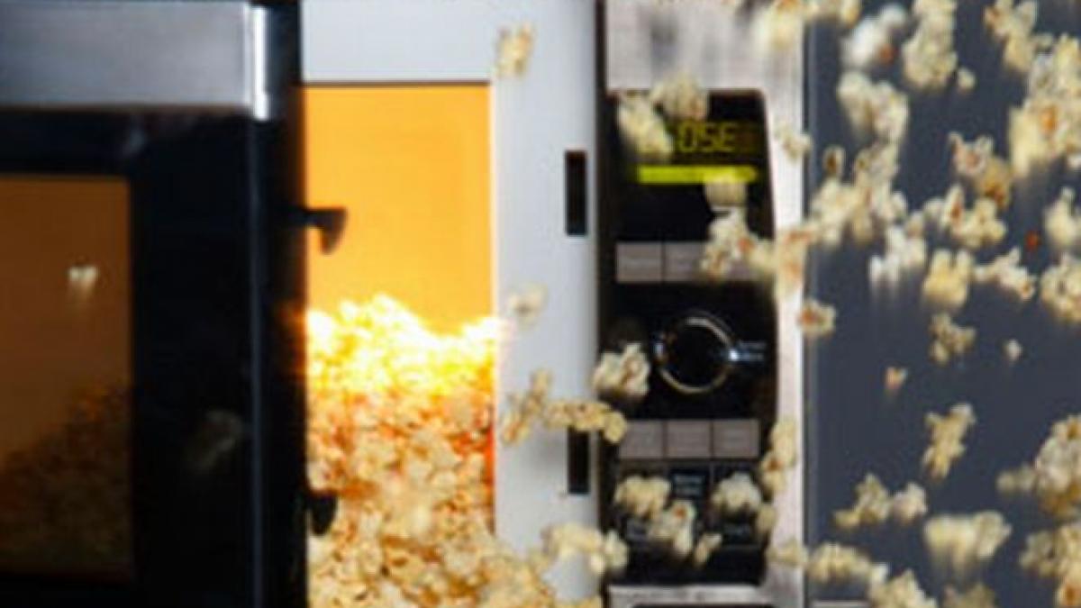 asasinii sistemului imunitar ne intalnim cu ei aproape zilnic si nici nu stim cat de mult rau ne