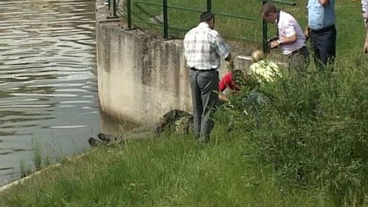 rudele l au scos mort din apa dupa mai multe ore de cautari intrase in rau sa ia apa pentru calul