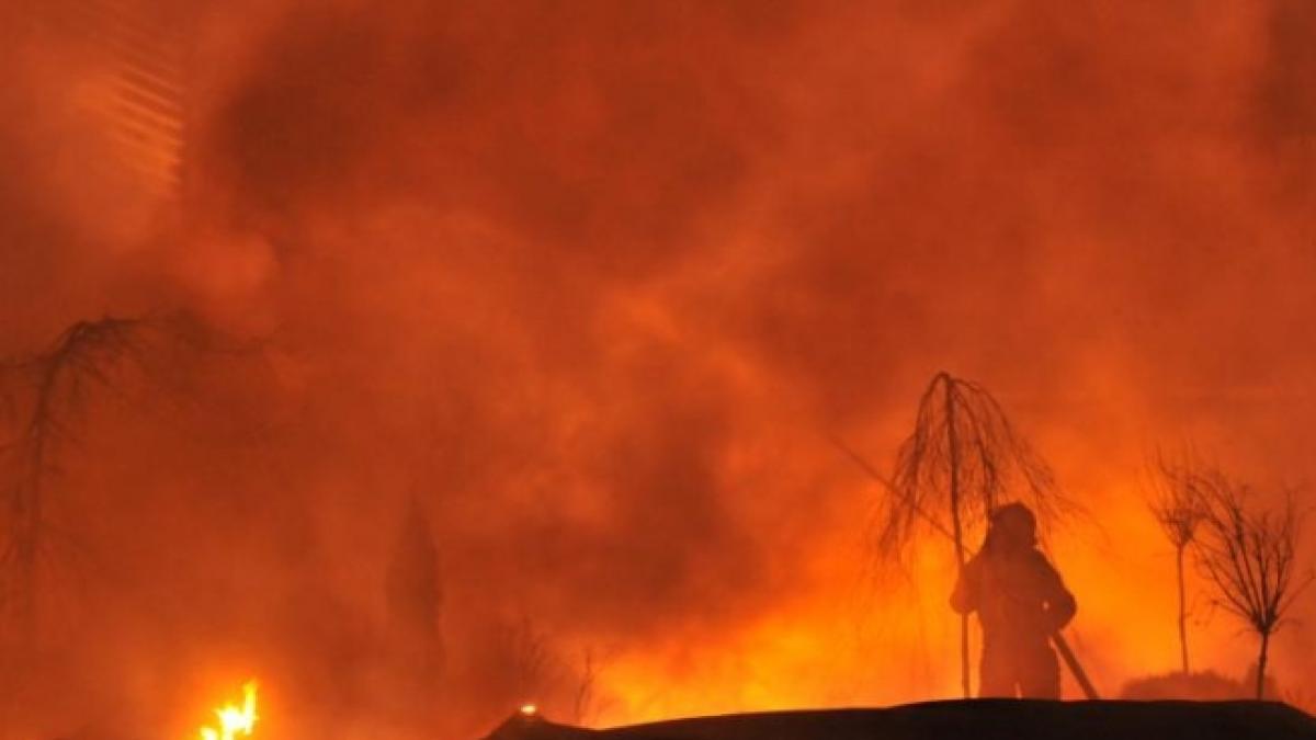 incendiu violent in bacau peste zece hectare de teren ard de 24 de ore