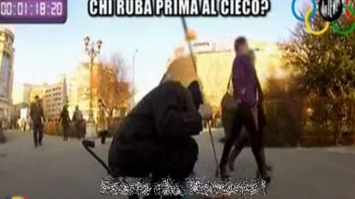 cine sunt hotii europei iata pe ce loc se claseaza romania la olimpiada ilegalitatii